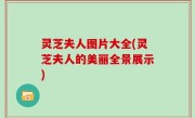 灵芝夫人图片大全(灵芝夫人的美丽全景展示)