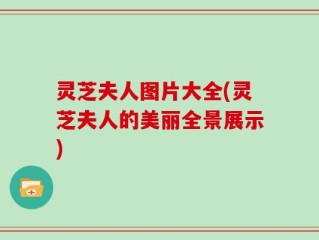 灵芝夫人图片大全(灵芝夫人的美丽全景展示)