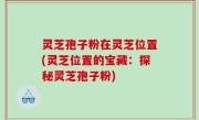 灵芝孢子粉在灵芝位置(灵芝位置的宝藏：探秘灵芝孢子粉)