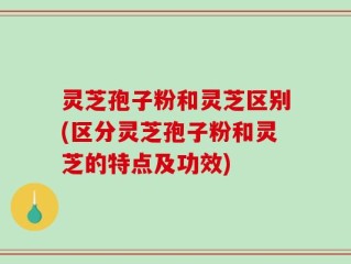 灵芝孢子粉和灵芝区别(区分灵芝孢子粉和灵芝的特点及功效)