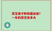 灵芝孢子粉和菌丝体？一年的灵芝有多大