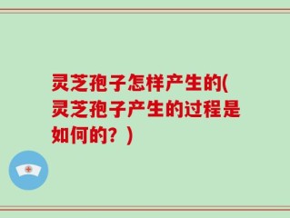 灵芝孢子怎样产生的(灵芝孢子产生的过程是如何的？)