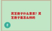灵芝孢子什么意思？灵芝孢子是怎么样的