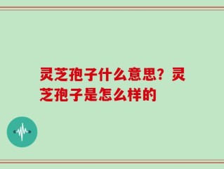 灵芝孢子什么意思？灵芝孢子是怎么样的