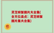 灵芝螃蟹图片大全集(全方位盘点：灵芝螃蟹图片集大合集)