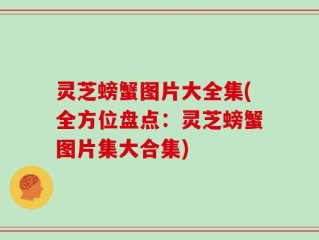 灵芝螃蟹图片大全集(全方位盘点：灵芝螃蟹图片集大合集)