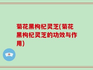 菊花黑枸杞灵芝(菊花黑枸杞灵芝的功效与作用)