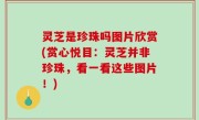 灵芝是珍珠吗图片欣赏(赏心悦目：灵芝并非珍珠，看一看这些图片！)