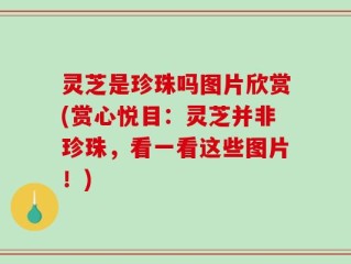 灵芝是珍珠吗图片欣赏(赏心悦目：灵芝并非珍珠，看一看这些图片！)