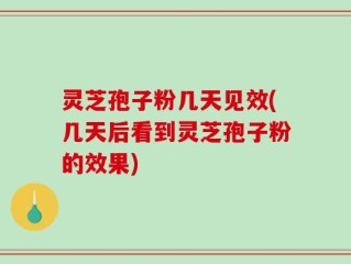 灵芝孢子粉几天见效(几天后看到灵芝孢子粉的效果)