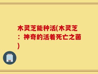 木灵芝能种活(木灵芝：神奇的活着死亡之菌)