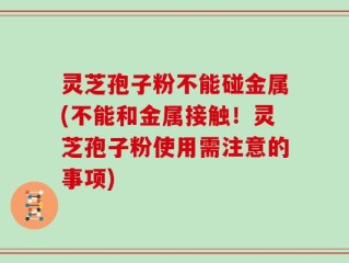灵芝孢子粉不能碰金属(不能和金属接触！灵芝孢子粉使用需注意的事项)