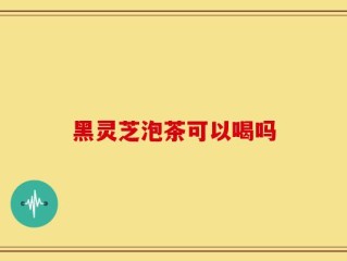 黑灵芝泡茶可以喝吗