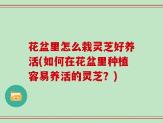 花盆里怎么栽灵芝好养活(如何在花盆里种植容易养活的灵芝？)