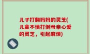 儿子打翻妈妈的灵芝(儿童不慎打倒母亲心爱的灵芝，引起麻烦)