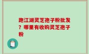 跑江湖灵芝孢子粉批发？哪里有收购灵芝孢子粉