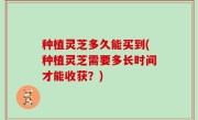 种植灵芝多久能买到(种植灵芝需要多长时间才能收获？)