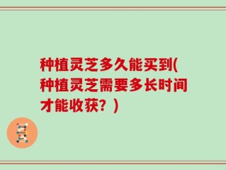 种植灵芝多久能买到(种植灵芝需要多长时间才能收获？)