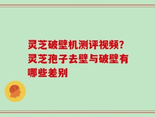 灵芝破壁机测评视频？灵芝孢子去壁与破壁有哪些差别