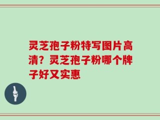 灵芝孢子粉特写图片高清？灵芝孢子粉哪个牌子好又实惠