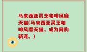 马来西亚灵芝咖啡风靡天猫(马来西亚灵芝咖啡风靡天猫，成为网购新宠。)