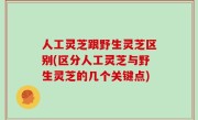 人工灵芝跟野生灵芝区别(区分人工灵芝与野生灵芝的几个关键点)