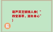 葫芦灵芝铜钱人参(“四宝荟萃，滋补身心”)