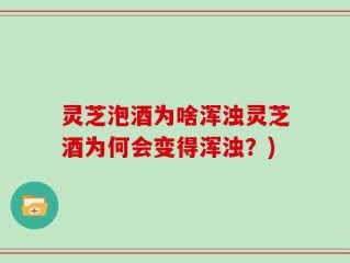 灵芝泡酒为啥浑浊灵芝酒为何会变得浑浊？)