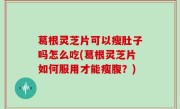 葛根灵芝片可以瘦肚子吗怎么吃(葛根灵芝片如何服用才能瘦腹？)