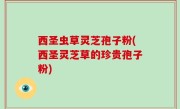 西圣虫草灵芝孢子粉(西圣灵芝草的珍贵孢子粉)
