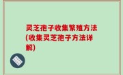 灵芝孢子收集繁殖方法(收集灵芝孢子方法详解)