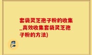 套袋灵芝孢子粉的收集_高效收集套袋灵芝孢子粉的方法)