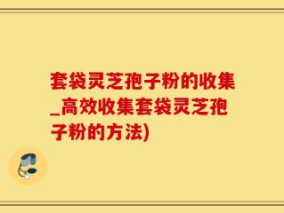 套袋灵芝孢子粉的收集_高效收集套袋灵芝孢子粉的方法)
