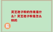 灵芝孢子粉的作用是什么？灵芝孢子粉是怎么样的