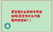 灵芝是什么药材才可泡水吗(灵芝为什么只能用药材泡水？)