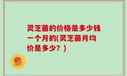 灵芝菌的价格是多少钱一个月的(灵芝菌月均价是多少？)