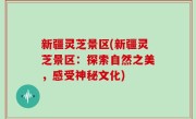 新疆灵芝景区(新疆灵芝景区：探索自然之美，感受神秘文化)