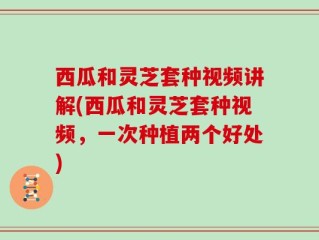 西瓜和灵芝套种视频讲解(西瓜和灵芝套种视频，一次种植两个好处)