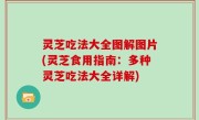 灵芝吃法大全图解图片(灵芝食用指南：多种灵芝吃法大全详解)