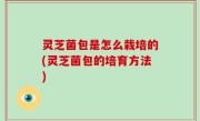灵芝菌包是怎么栽培的(灵芝菌包的培育方法)