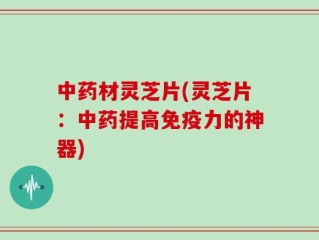 中药材灵芝片(灵芝片：中药提高免疫力的神器)