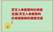 灵芝人参鹿茸枸杞蜂蜜泡酒(灵芝人参鹿茸枸杞蜂蜜酿制的健康泡酒)
