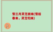 雪三月灵芝回来(雪后春来，灵芝归来)
