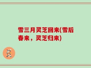 雪三月灵芝回来(雪后春来，灵芝归来)