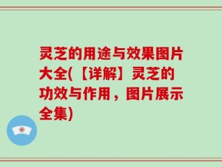 灵芝的用途与效果图片大全(【详解】灵芝的功效与作用，图片展示全集)
