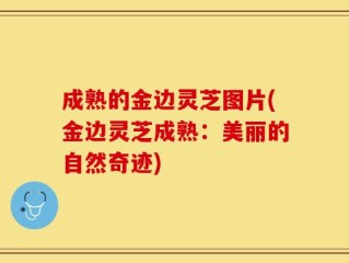 成熟的金边灵芝图片(金边灵芝成熟：美丽的自然奇迹)