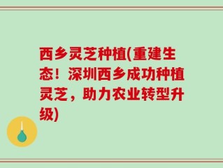 西乡灵芝种植(重建生态！深圳西乡成功种植灵芝，助力农业转型升级)