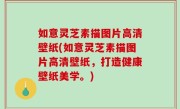 如意灵芝素描图片高清壁纸(如意灵芝素描图片高清壁纸，打造健康壁纸美学。)
