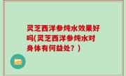 灵芝西洋参炖水效果好吗(灵芝西洋参炖水对身体有何益处？)