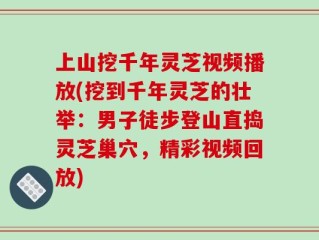 上山挖千年灵芝视频播放(挖到千年灵芝的壮举：男子徒步登山直捣灵芝巢穴，精彩视频回放)